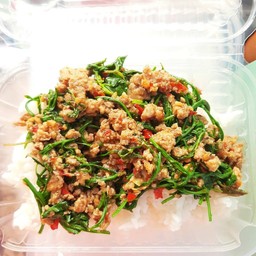ชะอมผัดหมูสับ ราดข้าว