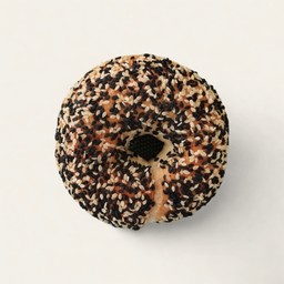 Sesame Bagel