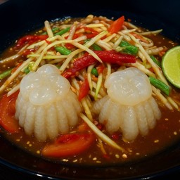 ตำแมงกะพรุนหัวกระสุน 1ตัว
