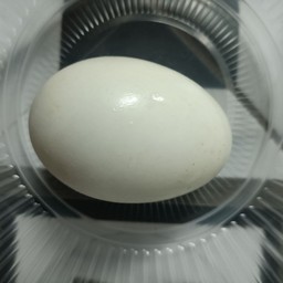 ไข่เค็ม