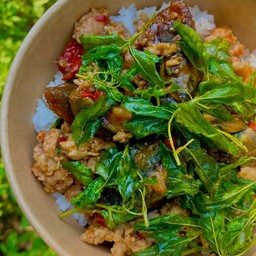 ข้าวกะเพรากรอบหมูสับไข่เหยี่ยวม้า