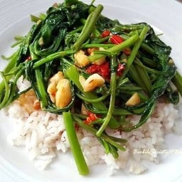 ผัดผักบุ้ง