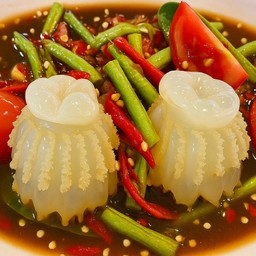 เหลาแมงกะพรุนหัวกระสุน 2ตัว