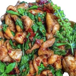 ข้าวกะเพราไก่ แก้วมาคอว์