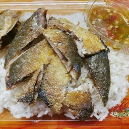 ข้าวปลาทูแกะพร้อมทาน