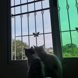 TEARak | หน้าโรงเรียนอุตรดิตถ์