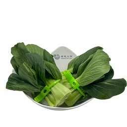 ผักฮ่องเต้