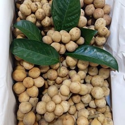 อ้วน ผลไม้ตามฤดูกาล