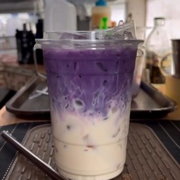 เผือกนมสด