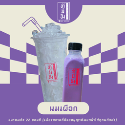 เผือกหอม