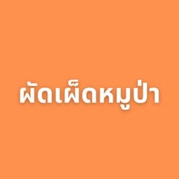 ผัดเผ็ดหมูป่า