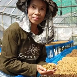 1 Kg Mae Toey - Thailand