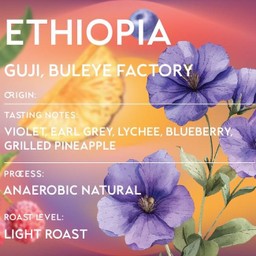 Ethiopia Guji, Buleye Factory, Anaerobic Natural