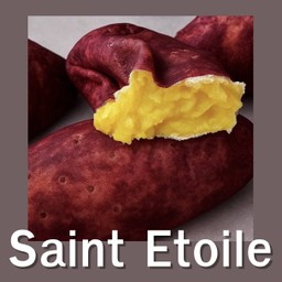 Saint Etoile