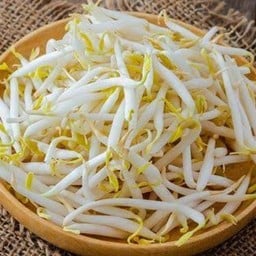 ถั่วงอกสด / ลวก