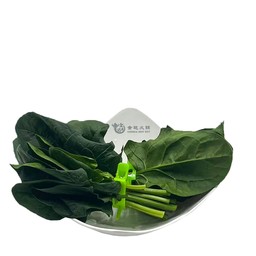 ป๋วยเล้ง