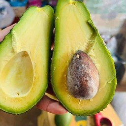 อาโวคาโดปั่นนมสด4เเก้ว(ฟรีน้ำเปล่า1ขวด)