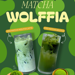 Iced Matcha Wolffia Latte