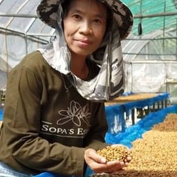 300g Mae Toey - Thailand