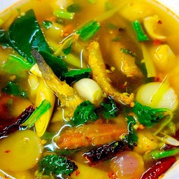 ต้มโคล้งปลาสลิด