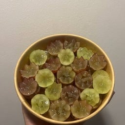 Freshfruit ready to eat by MJ