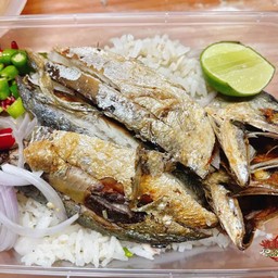 ข้าวยำปลาแมวปลา2ตัว