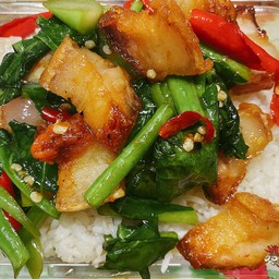 ผัดคะน้าราดข้าว
