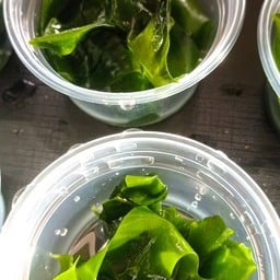 หม่าล่า/ชาบู เสียบไม้10แถม1 หน้าCJคลอง8ลำลูกกา