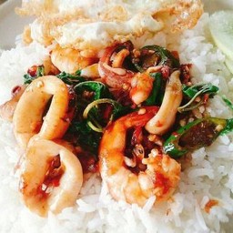 ข้าวราดกระเพราทะเล