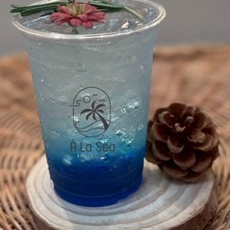 MENU_3376502OS_1756202279