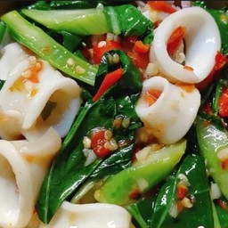 ผัดคะน้าปลาหมึกราดข้าว