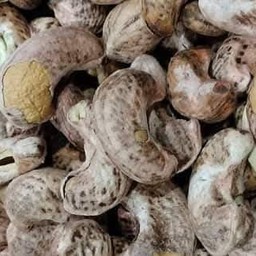 มะม่วงหิมพานต์ หอม มันอร่อย