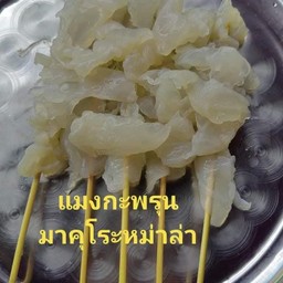แมงกะพรุน