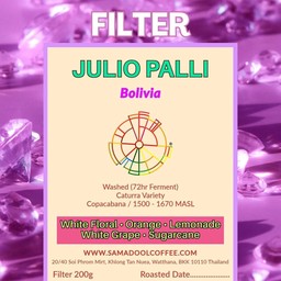 Julio Palli - Bolivia (Washed)