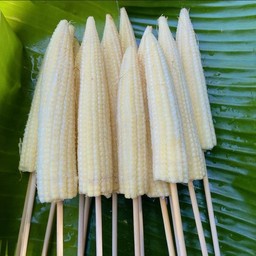 ข้าวโพด