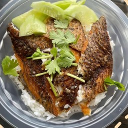 ข้าวปลานิลแกะ