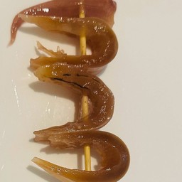 หมึกกรอบ