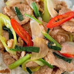 ผัดพริกหยวก  (กับข้าว)