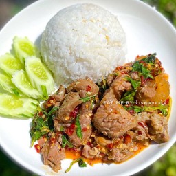 ข้าวกะเพราเนื้อตุ๋น