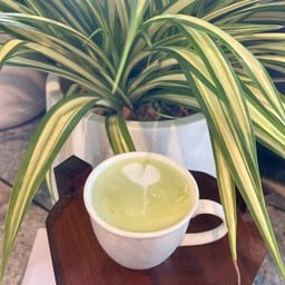 ชาเขียวร้อน