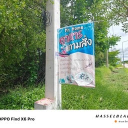 My Home อาหารตามสั่ง อาหารทะเล