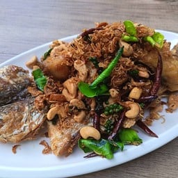 ปลากระพง นิรนาม (1ตัว)