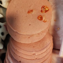 โบโลน่า