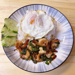 ผัดกะเพราพริกแห้งกุ้งราดข้าว