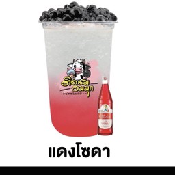 ติดนม อมมุก สาขาโรงเรียนเลยอนุกูล