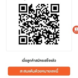 ทองกวาวลูกชิ้นปิ้ง บ้านคลอง