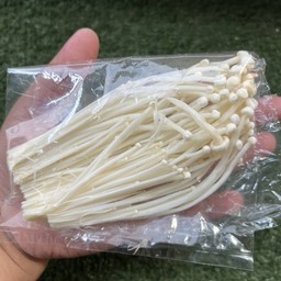 เห็ดเข็มทอง โอเด้ง