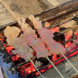 แมงกะพรุนย่าง