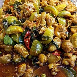 ผัดฉ่าไก่