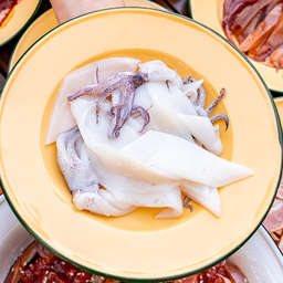 ปลาหมึกสด